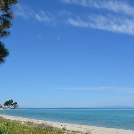 Ananda Homes דירה פפקוהורי