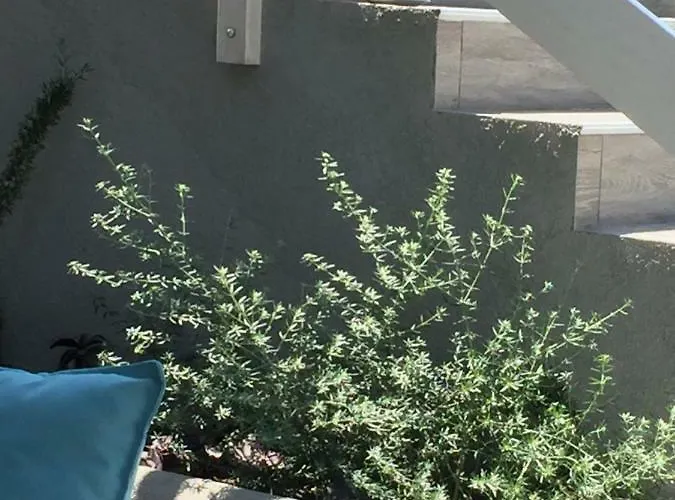 Daire Ananda Homes Pefkochori